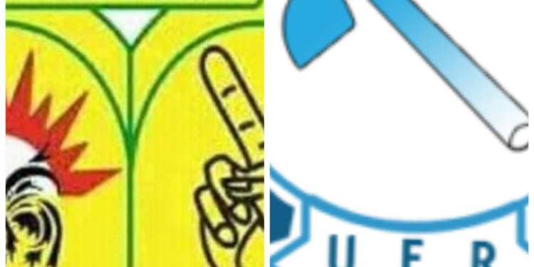 Suite à leur rejet des motifs de leur suspension pour trois (3) mois décidée par le MATD, à votre avis, le RPG et l’UFR disposent-t-ils de voies de recours administratif ou judiciaire?