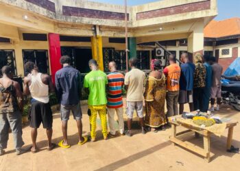 Coyah : 12 personnes arrêtées avec un stock de chanvre indien et de kush