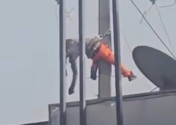 Dixinn terrasse : l&rsquo;agent d&rsquo;EDG électrocuté est bel et bien vivant