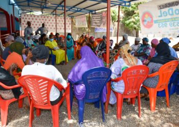 Immersion : à la découverte du MoDeL, un parti qui souffle le chaud et le froid dans un contexte de transition militaire