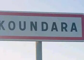 TPI Koundara : ouverture du procès de 10 personnes arrêtées pour trafic de faune et de flore