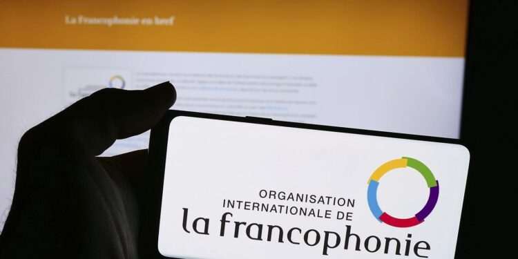 Diplomatie : le Niger claque la porte de l&rsquo;OIF