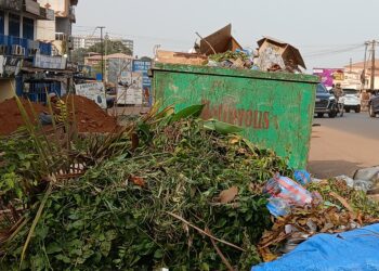 Les rues de Conakry jonchées d&rsquo;ordures :  démission des autorités ou manque de civisme ? (constat)