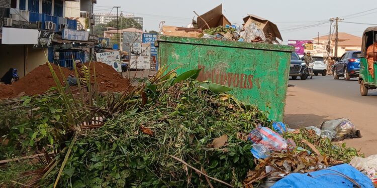 Les rues de Conakry jonchées d&rsquo;ordures :  démission des autorités ou manque de civisme ? (constat)