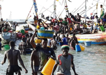 Rareté du poisson : La mer et le marché vidés par des bateaux asiatiques et miniers (Enquête)