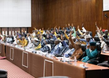 Journée historique au CNT : les Conseillers nationaux adoptent à l’unanimité le projet de nouvelle Constitution