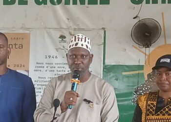 Exclusion d&rsquo;Ousmane Gaoual de l’UFDG : le dossier sera évoqué le 9 mai au TPI de Dixinn