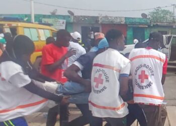 Mamou : des abeilles s&rsquo;invitent à la fête, plusieurs personnes tombent en syncope après la marche