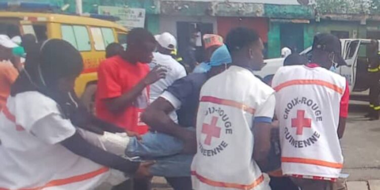 Mamou : des abeilles s&rsquo;invitent à la fête, plusieurs personnes tombent en syncope après la marche