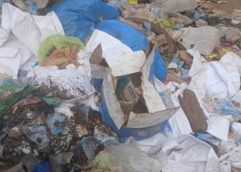 Mamou : réveil brutal après la marche de la paix, la ville renoue avec les ordures