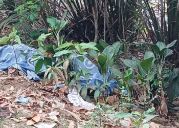Horreur à Kiroty : un homme égorgé et jeté dans un marigot