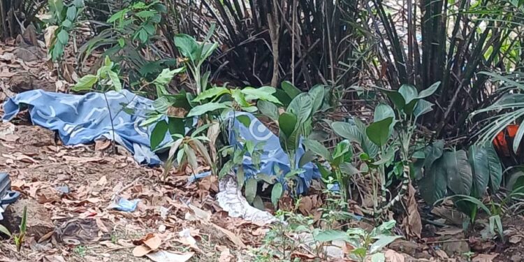 Horreur à Kiroty : un homme égorgé et jeté dans un marigot