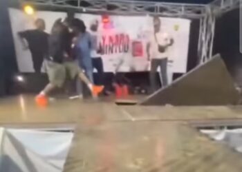 Chute brutale de Ans-T-Crazy en plein show : les organisateurs du spectacle mis en cause