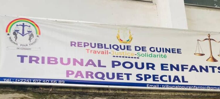 Démantèlement du Tribunal pour enfant : Me Thierno Souleymane Baldé dénonce « Une violation grave des droits des enfants »