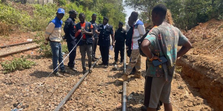 Accident ferroviaire au pont du 8 Novembre : un homme fauché par le train Russal