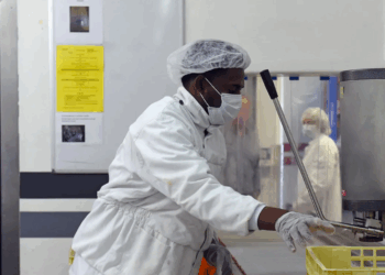 La France a besoin de « 310 000 immigrés par an d’ici à 2040 » pour financer son modèle social