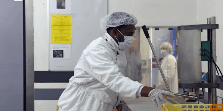 La France a besoin de « 310 000 immigrés par an d’ici à 2040 » pour financer son modèle social