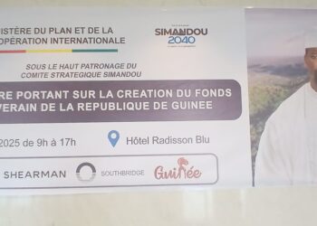 Guinée : vers la création d&rsquo;un fonds souverain pour bâtir un avenir durable