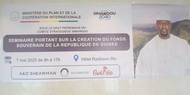 Guinée : vers la création d&rsquo;un fonds souverain pour bâtir un avenir durable