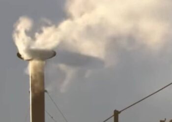 Vatican : de la fumée blanche se dégage du conclave, un nouveau pape est élu 