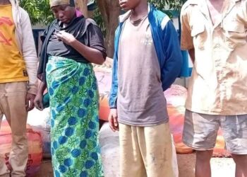 Kindia : une femme enceinte arrêtée avec 742 kg de chanvre indien