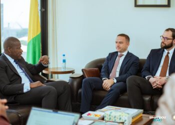 Le Ministre du Plan et de la Coopération Internationale reçoit une délégation de la Pologne