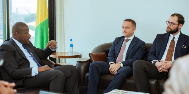 Le Ministre du Plan et de la Coopération Internationale reçoit une délégation de la Pologne