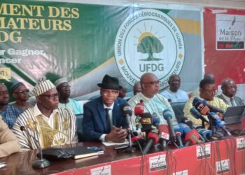 Crise au sein de l’UFDG : le mouvement des réformateurs voit le jour