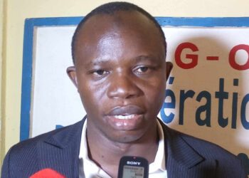 Salifou Camara condamné à 6 mois de prison avec sursis pour injures et diffamation