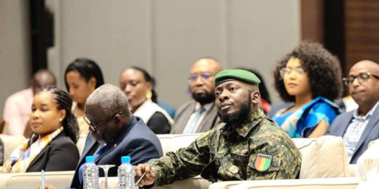 Mines : les zones des permis récemment rétirés placées en réserve stratégique