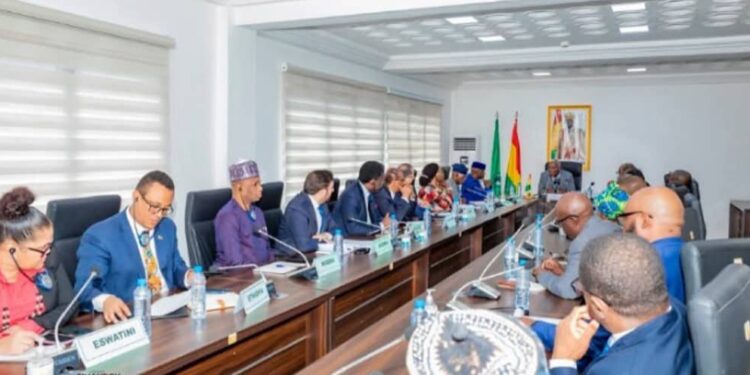 Vers un retour à l’ordre constitutionnel en Guinée: Conakry appelle à un appui financier international