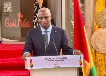 Ousmane Sonko reçu par le général Doumbouya : Bah Oury plaide pour une coopération renforcée entre la Guinée et le Sénégal