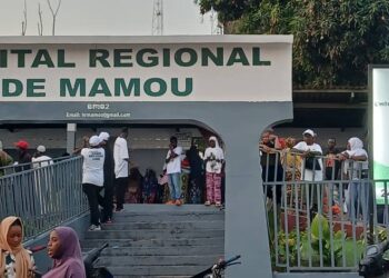 Mamou/Timbo: un mort et plusieurs blessés dans une collision