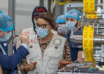 Guinée : les entreprises industrielles sommées de se régulariser avant le 15 juillet 2025