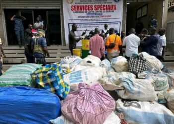 Conakry : saisie de quantités importantes de la drogue kush et 17 interpellations