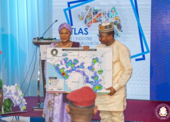 La Guinée se dote d&rsquo;un atlas de son écosystème industriel