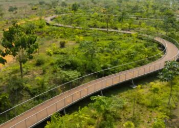 Côte d’Ivoire : à Abidjan, une décharge géante reconvertie en parc urbain