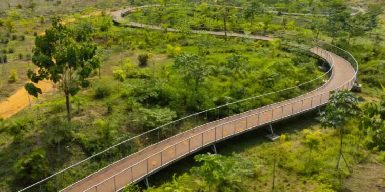 Côte d’Ivoire : à Abidjan, une décharge géante reconvertie en parc urbain