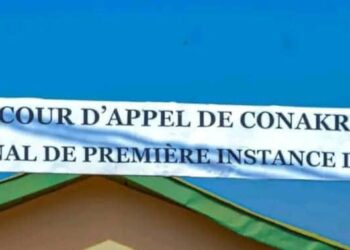 TPI Coyah : 20 ans de réclusion requis contre Boubacar Barry pour le meurtre de son épouse
