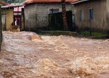 Conakry : de fortes pluies provoquent la mort de 3 personnes (DG ANGUCH)