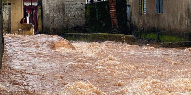 Conakry : de fortes pluies provoquent la mort de 3 personnes (DG ANGUCH)