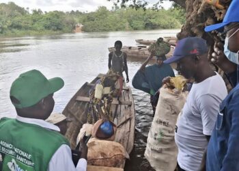 Riposte contre l’épidémie de Mpox : l’ANSS et l’OIM sensibilisent à Forécariah 