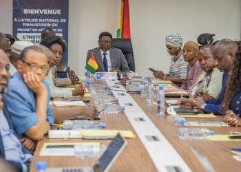 Enseignement Supérieur : lancement de l’Institut Ouest-Africain de Mathématiques en Guinée