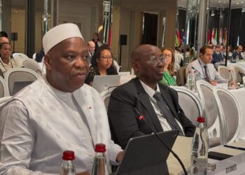 Dr Morissanda Kouyaté au CPF : ‘’la Guinée progresse vers un retour à l’ordre constitutionnel’’