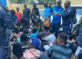 Lutte contre la drogue: importateurs et distributeurs désormais dans le viseur de la police