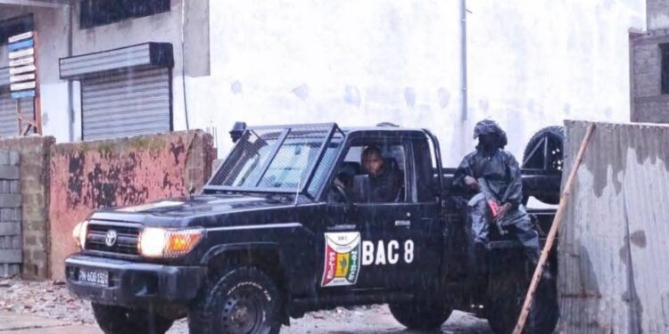 Conakry : Coup de filet anti-stupéfiants à Tombolia et Enta, 30 personnes arrêtées