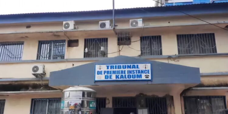 TPI de Kaloum: 14 condamnations dans une affaire de Kush, la justice frappe fort contre la drogue