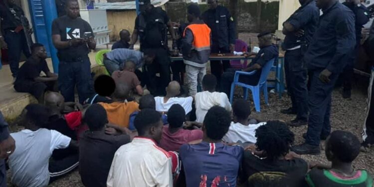 Dubréka : 42 personnes interpellées dont 3 dealers présumés lors d’une opération antidrogue