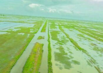 Carnet de route : Kakossa, un joyau oublié de Forécariah