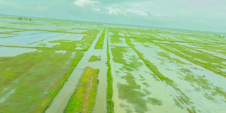 Carnet de route : Kakossa, un joyau oublié de Forécariah